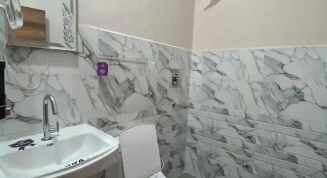 Номер Deluxe Shree Hari palace