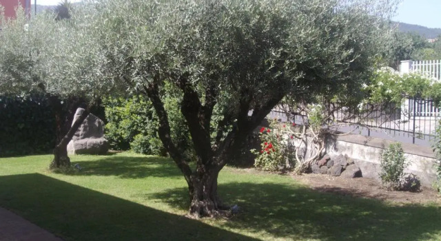 Scatitti House, Book Apartment Hotels in Sicily with Parking, Parking