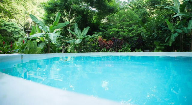 Dominican Tree House, Rezerwuj Hotel El Valle Samana