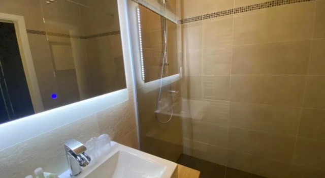 Номер Deluxe Landhotel Flora & Fauna
