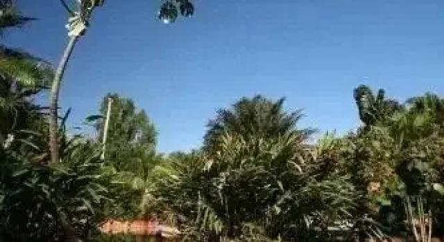Yquara Termas Hotel, Reservar Hotel Hotéis em West-Central Brazil com piscina, Piscina