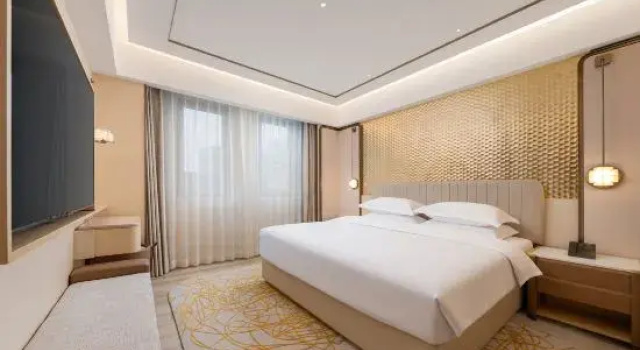 Люкс Deluxe Rich Hotel