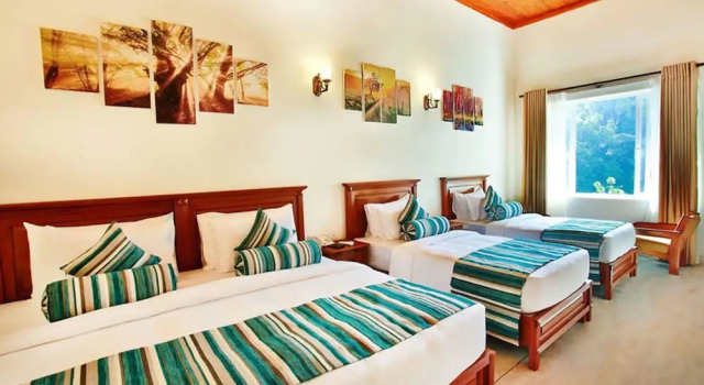 Четырёхместный семейный люкс Hotel Cassendra