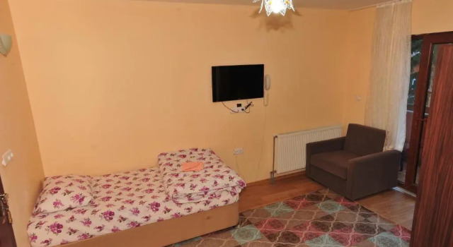Люкс с видом на реку Çam Otel 2