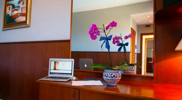Одноместный номер Standard Hotel Dei Pini