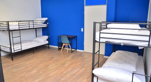 Кровать в общем номере Xenon hostels