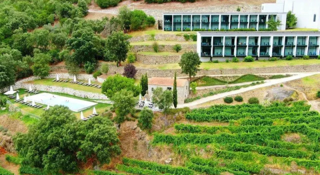Люкс Douro Palace Hotel Resort & SPA