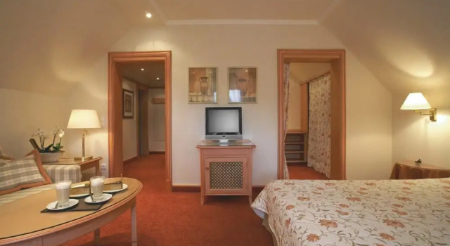 Одноместный номер Deluxe Fletcher Berghotel Astenkrone-Winterberg