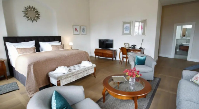 Двухместный номер Deluxe Hotel Château Gbeľany