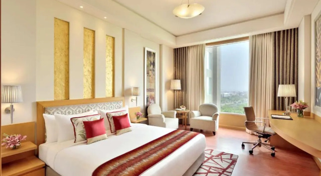 Двухместный номер Premium Radisson Noida