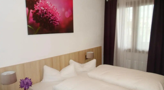 Двухместный номер Standard Hotel am Stadtrand