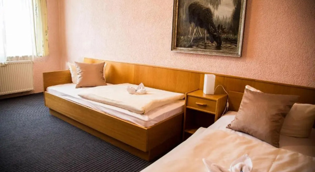 Трёхместный номер Standard Hotel Stadt Peine
