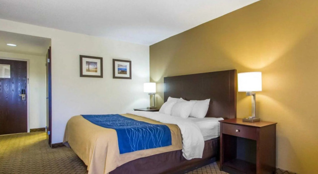 Standard Zimmer Quality Inn Clarksville - Exit 11