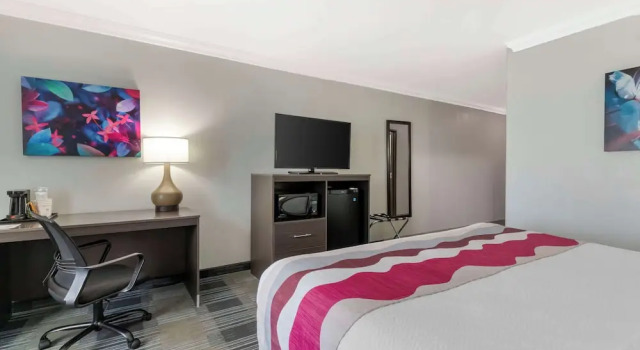 Люкс Standard Best Western Medical Center North Inn & Suites Near Six Flags