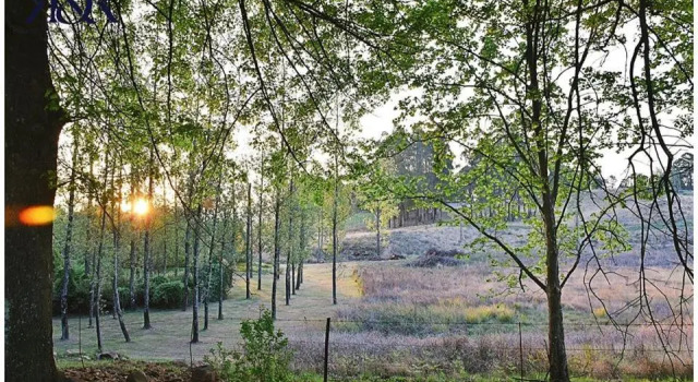 The Falls Cottages, Забронировать Отель Ноттингем-Роуд Lions River