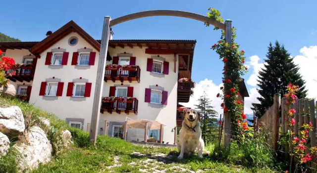 Номер Standard Agritur Darial
