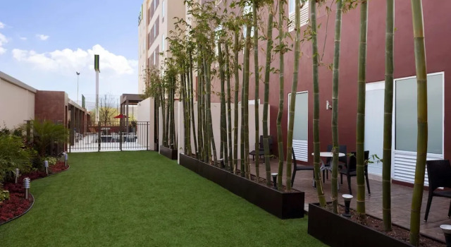 Двухместный номер Standard Homewood Suites by Hilton Queretaro