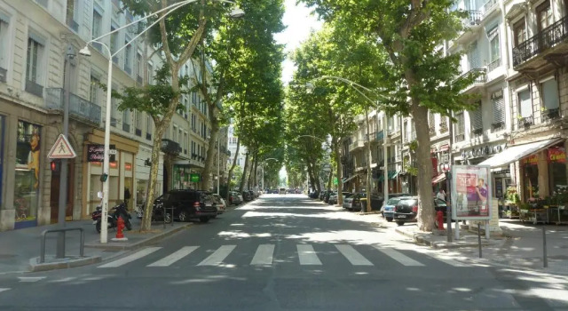 Апартаменты Nid Cosy - Lyon 6e