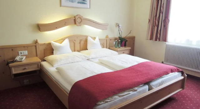Двухместный номер Standard Hotel Binggl