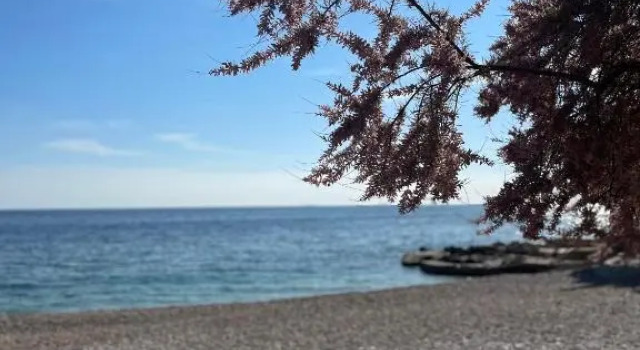 Beach Stay Apartment Ivon, Reserva ahora Apartamento Ivan Dolac Isla de Hvar