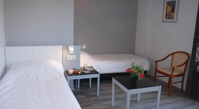 Двухместный номер Standard с видом на улицу Hotel Royal Vézère