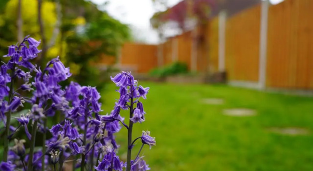Апартаменты Contemporary 2 Bed Apartment With Private Garden