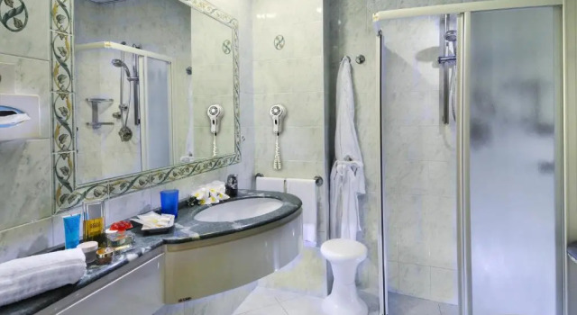 Двухместный номер Standard с видом на море Hotel Losanna