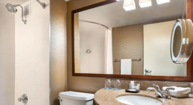 Номер Standard Wyndham Phoenix Airport - Tempe