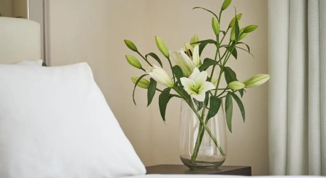 Одноместный номер Superior Trastevere Roma | UNA Esperienze | Preferred Hotels and Resorts