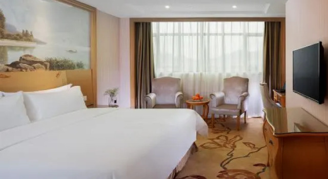 Люкс Deluxe Vienna Hotel Guangzhou Huadu Sunac Cultural Tourism City Hecheng