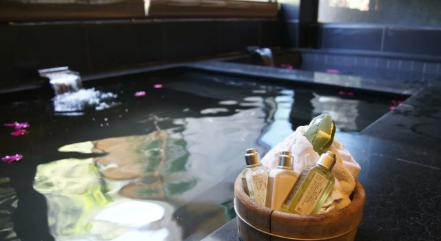 Двухместный номер Superior Goya Spring Resort