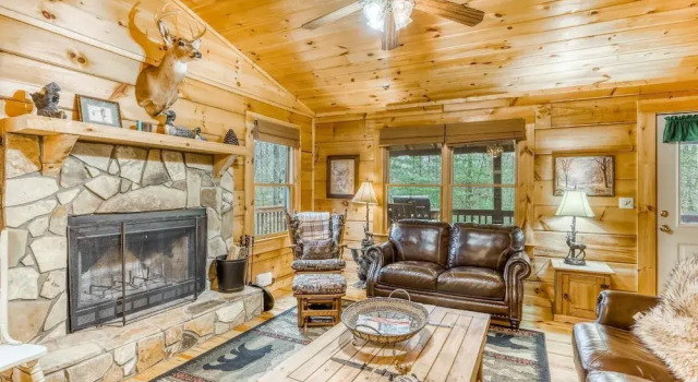 Bumpa Bear Hideaway