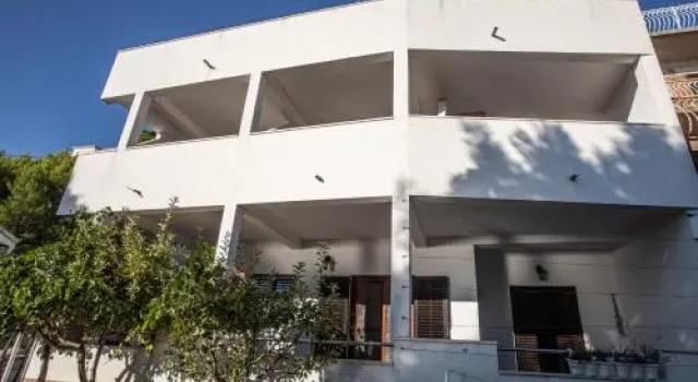Apartments Cvita