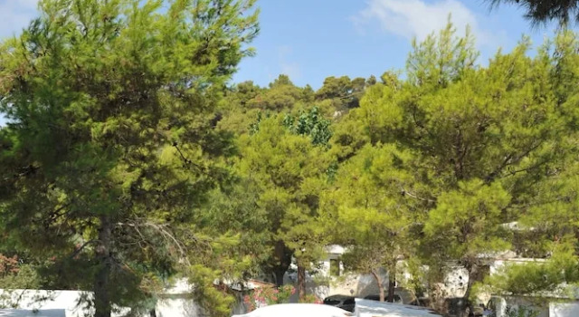 Бунгало Villaggio Capo Vieste Camping