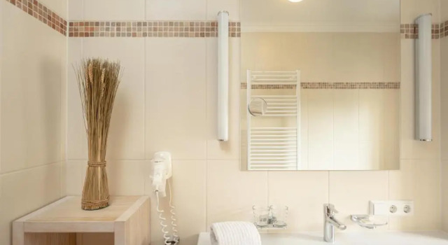 Номер Standard Pension Glitschnerhof