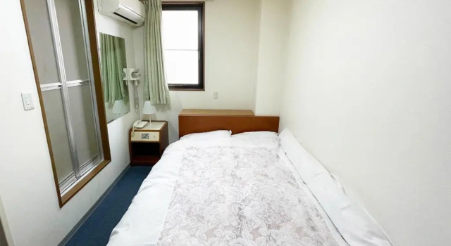 Двухместный номер Standard Business Hotel Rupinasu