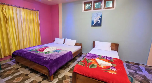 Exécutive chambre Jungle Star Mansion