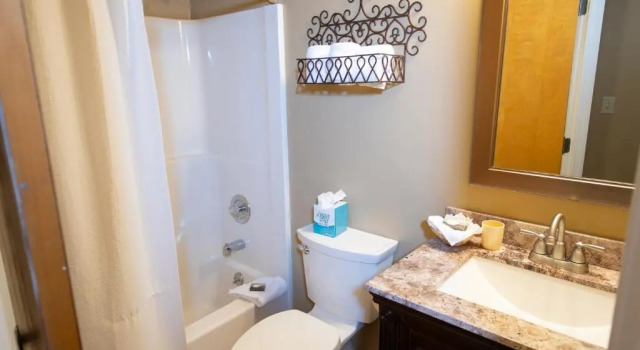 Апартаменты c 1 комнатой Mountain Lodge at Okemo, A Vail Resorts Property
