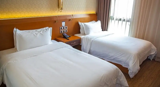 Двухместный номер Deluxe ibis Styles Shanghai Zhangjiang