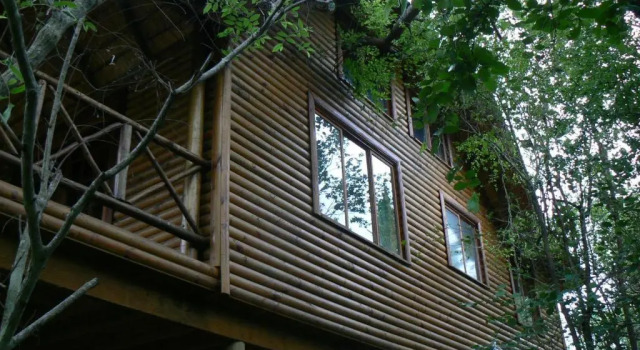 Коттедж Lion Tree Bush Lodge