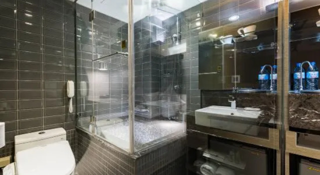 Двухместный люкс Shin Yuan Park Hotel