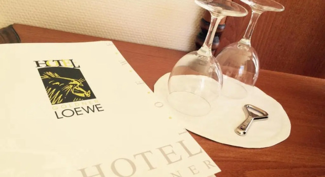 Camera Standard Hotel Goldner Loewe