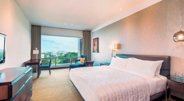 Двухместный номер Superior с видом на город Le Meridien Nagpur
