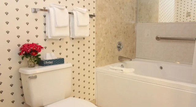 Двухместный люкс Classic Wellington Resort