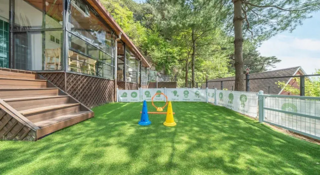 Номер Standard Gapyeong Daengdaengi Dog Pension Silver