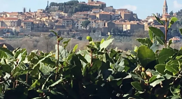Коттедж с 2 комнатами Borgo Santa Lucia, Casa Legnaia