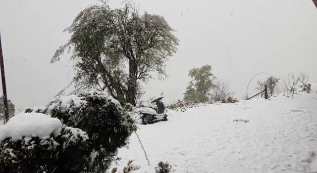 Amuser Stays, Rezervovat Hotel Tehri Uttarakhand