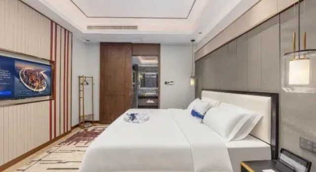 Люкс Classic Jinjiang Metropolo Xinglong Old Street Xuan'en Hotel