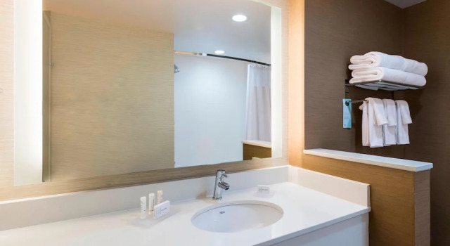 Двухместный люкс Fairfield Inn & Suites by Marriott Dallas Waxahachie