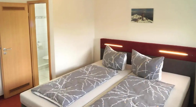 Номер Economy Erzgebirgshotel Misnia Bärenfels